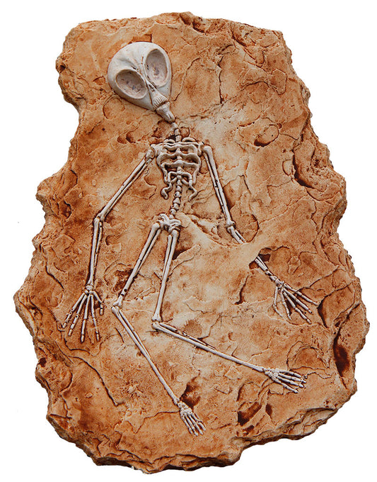 Alien Fossil Wall Sculpture – 25x34” Hand-Cast Stone Artwork | UFO Décor for Sci-Fi Enthusiasts