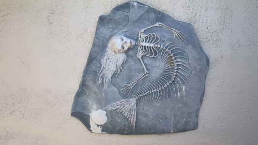Fossil Mermaid of Sector 51 - Cast Stone Sculpture – Sci-Fi UFO Decor – Unique Man Cave Art